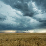 Thunderstorms require a significant difference in temperature between two areas, such as when a front cuts through a region.