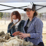 Anna Hunter demonstrates how to skirt a fleece.