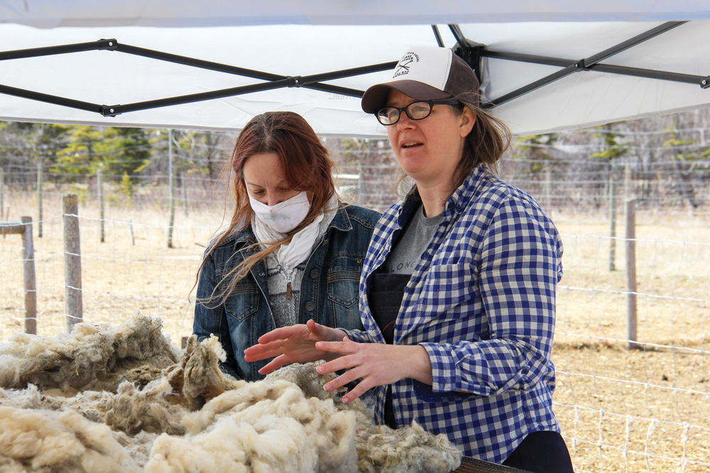 Anna Hunter demonstrates how to skirt a fleece.