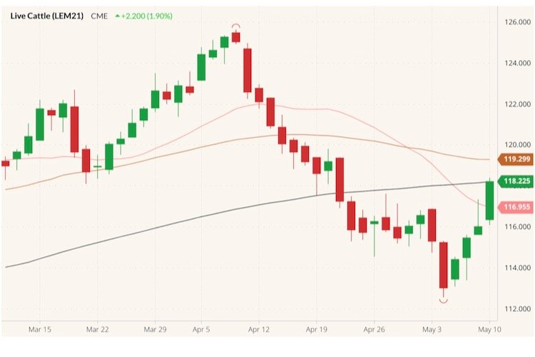 CME June 2021 live cattle (candlesticks) with 20-, 50- and 100-day moving averages (pink, brown, black lines). (Barchart)
