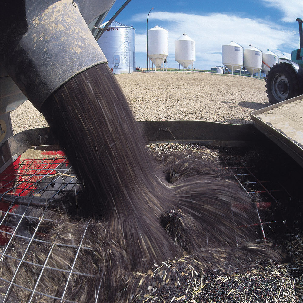 If canola continues to disappear at its current rate, we would wind up with available supplies of negative half a million tonnes by the time a new crop is ready.