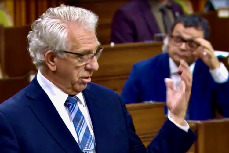 Brandon-Souris MP Larry Maguire speaks to Bill C-208 on Nov. 25 in the House of Commons. (Video screengrab from Parl.gc.ca)