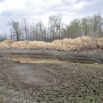 “It appears as though kind of the worst-case scenario for spring conditions has developed.” – Tyler Fulton, Manitoba Beef Producers.