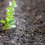 A certified crop adviser says Canadian farmers are losing close to $3 billion a year due to lost productivity caused by degraded, unhealthy soil.