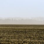 Dry conditions have been seen all across agro-Manitoba this spring.