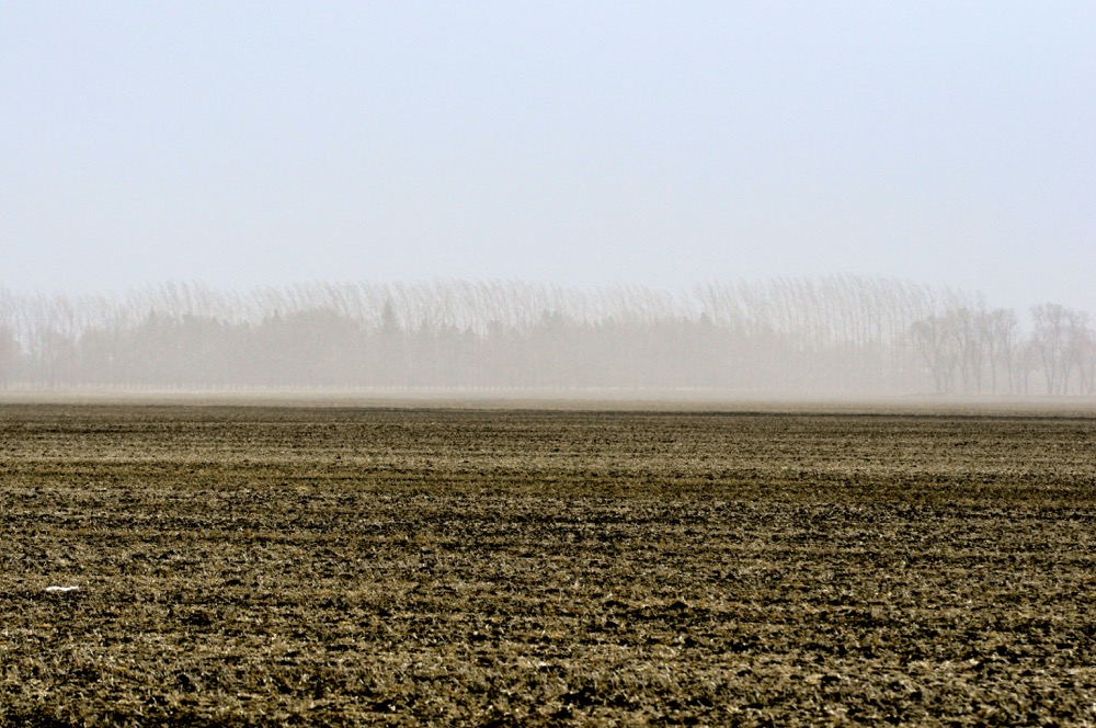 Dry conditions have been seen all across agro-Manitoba this spring.