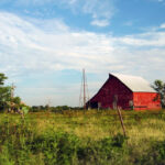 In a recent post-election report, the NDP says it failed to fully deal with changes in the agriculture sector and the challenges facing rural communities.