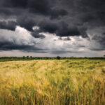 Much of Manitoba last week had the temperatures and conditions favourable for thunderstorms to develop — but was short on humidity.