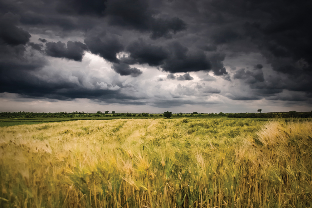 Much of Manitoba last week had the temperatures and conditions favourable for thunderstorms to develop — but was short on humidity.