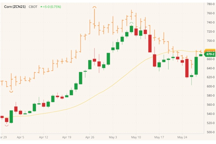 CBOT July 2021 corn (candlesticks) with 20-day moving average (yellow line) and CBOT July 2021 wheat (orange open/high/low/close). (Barchart)
