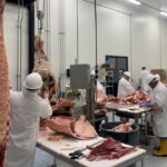 Workers use knives to butcher cattle carcasses at a new Hertzog Meat Co. beef plant at Butler, Missouri on June 14.