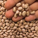 Pinto beans. (Vergani_Fotografia/iStock/Getty Images)