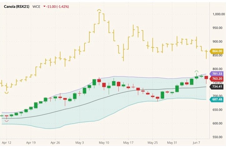ICE November 2021 canola (candlesticks) with Bollinger bands (20,2) and July 2021 canola (yellow open/high/low/close). (Barchart)
