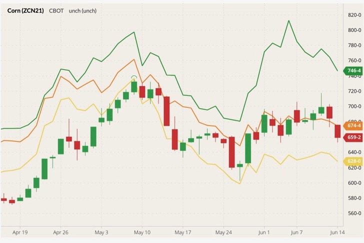 CBOT July 2021 corn (candlesticks) with CBOT, MGEX and K.C. July 2021 wheat (orange, green and yellow lines). (Barchart)
