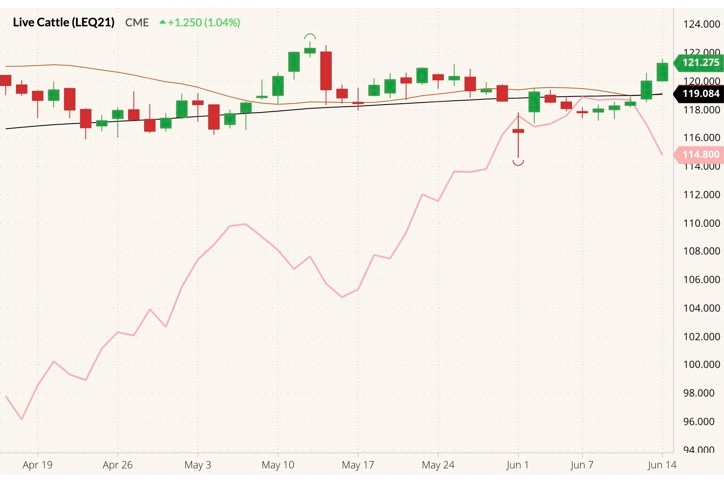 CME August 2021 live cattle (candlesticks) with 20- and 100-day moving averages (brown and black lines) and CME August 2021 lean hogs (pink line). (Barchart)
