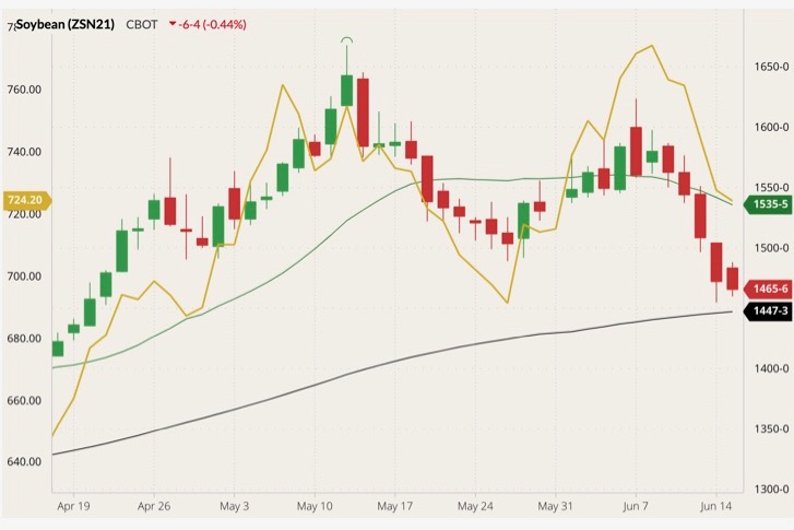 CBOT July 2021 soybeans (candlesticks) with 20- and 100-day moving averages (green and black lines) and ICE November 2021 canola (yellow line, left column). (Barchart)

