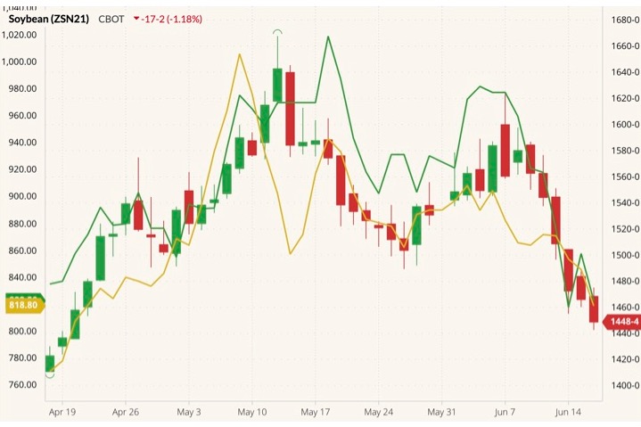 CBOT July 2021 soybeans (candlesticks) with CME July 2021 crude palm oil and ICE July 2021 canola (green and yellow lines, left column). (Barchart)
