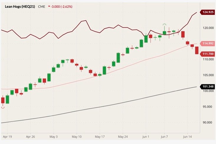 CME August 2021 lean hogs (candlesticks) with 20- and 100-day moving averages (pink and black lines) and August 2021 live cattle (dark red line). (Barchart)
