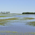 Parts of southern Manitoba saw up to three inches of much-needed precipitation on June 8-9.