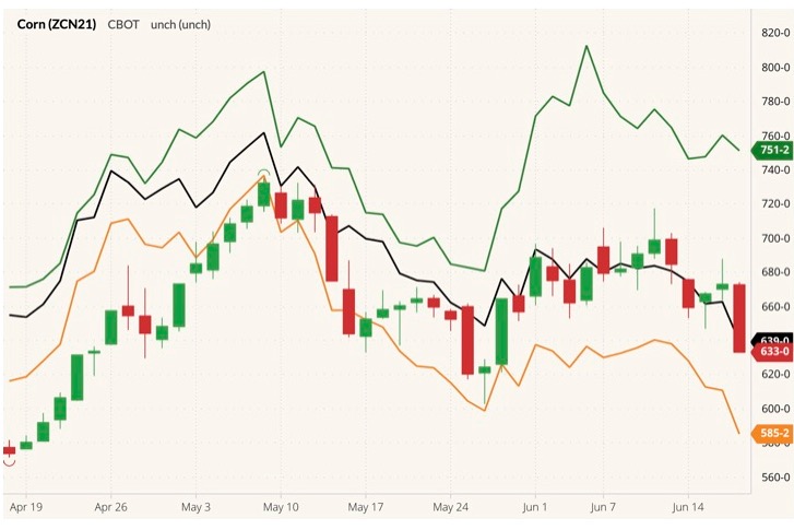 CBOT July 2021 corn (candlesticks) with MGEX, CBOT and K.C. July 2021 wheat (green, black and orange lines). (Barchart)
