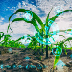 Three priority areas are available under a research and innovation stream: green energy and energy efficiency, precision agriculture and bioeconomy.
