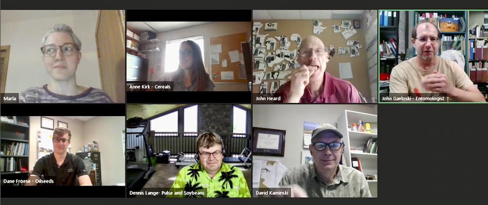 Provincial entomologist John Gavloski (top right) and colleagues celebrate national bug appreciation day with cricket-based snacks.