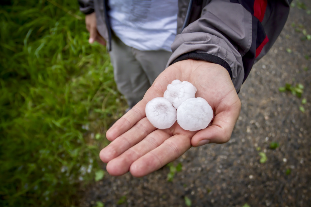 Picture a popcorn machine — or better yet, an old-fashioned bingo machine. The balls, or hailstones, are continually moving up and down due to the strong updraft.