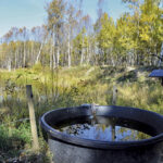 A new program will pick up half the costs a producer incurs installing a watering system, up to $10,000.