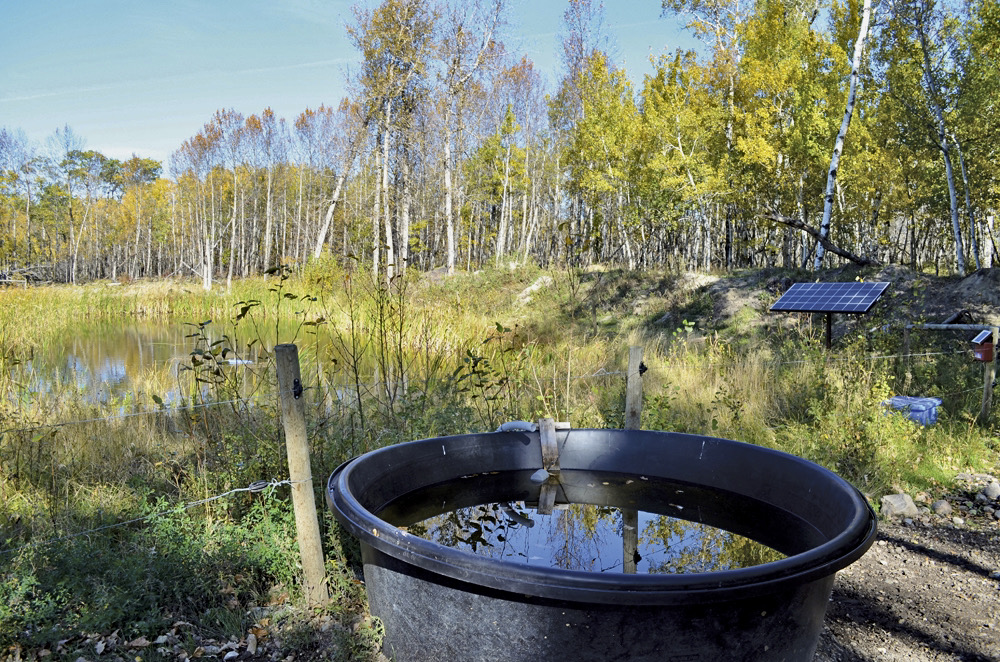 A new program will pick up half the costs a producer incurs installing a watering system, up to $10,000.