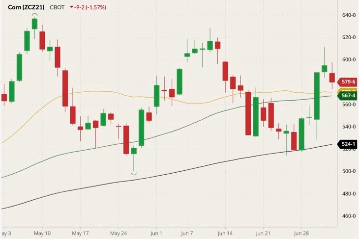 CBOT December 2021 corn (candlesticks) with 20-, 50- and 100-day moving averages (yellow, dark green and black lines). (Barchart)
