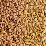 (Photo courtesy Canada Beef Inc.)
