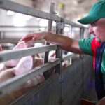 ‘… when it comes to tending to the environment in a sustainable way and caring for animals humanely, Manitoba farmers are world leaders.’ – Cam Dahl.