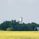 As the mercury spiked, so did canola futures, during the last week of June.