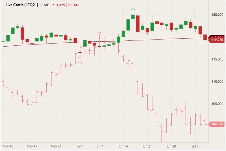 CME August 2021 live cattle (candlesticks) with 100-day moving average (red line) and August 2021 lean hogs (pink open/high/low/close). (Barchart)
