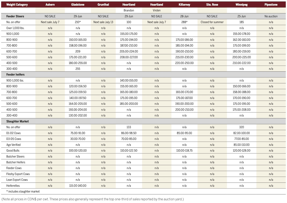 Cattle auctions slow down for summer
