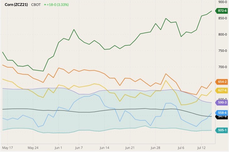 CBOT December 2021 corn (blue line) with Bollinger bands (20,2) and MGEX, CBOT and K.C. September 2021 wheats (green, orange and yellow lines). (Barchart)
