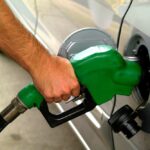 A rebound in demand for biodiesel and bioethanol this year is projected to exceed pre-pandemic levels.