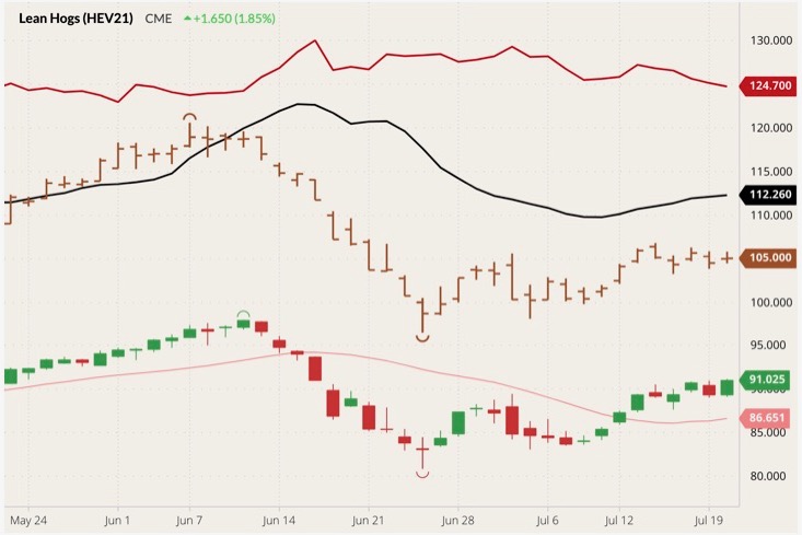 CME October lean hogs (candlesticks) with 20-day moving average (pink line), CME lean hog index (black line), CME August 2021 lean hogs (brown O/H/L/C) and CME October 2021 live cattle (dark red line). (Barchart) 
