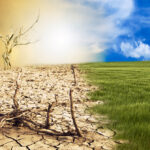 The title of a new book by a Manitoba author cuts to the chase: the only way out for us when it comes to climate change is to embrace a carbon-negative future.