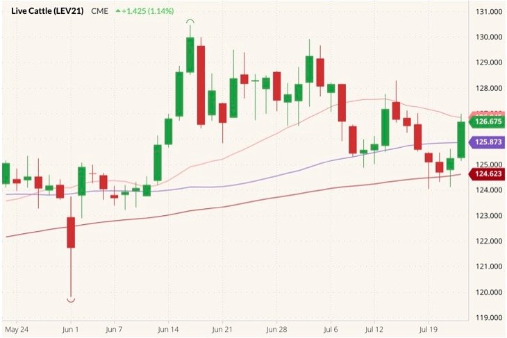 CME October 2021 live cattle (candlesticks) with 20-, 50- and 100-day moving averages (pink, purple and dark red lines). (Barchart)
