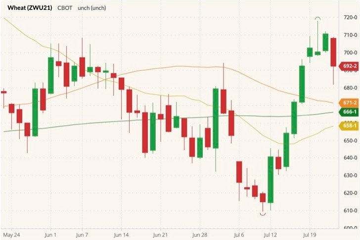 CBOT September 2021 wheat (candlesticks) with 20-, 50- and 100-day moving averages (yellow, orange and green lines). (Barchart)
