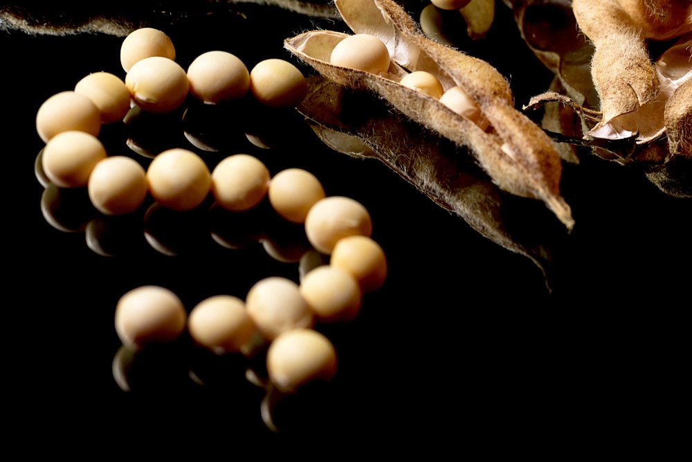 Photo: iStock/Getty Images
