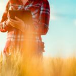 Hot and dry weather has severely impacted spring wheat crops.  Photo: iStock/Getty Images
