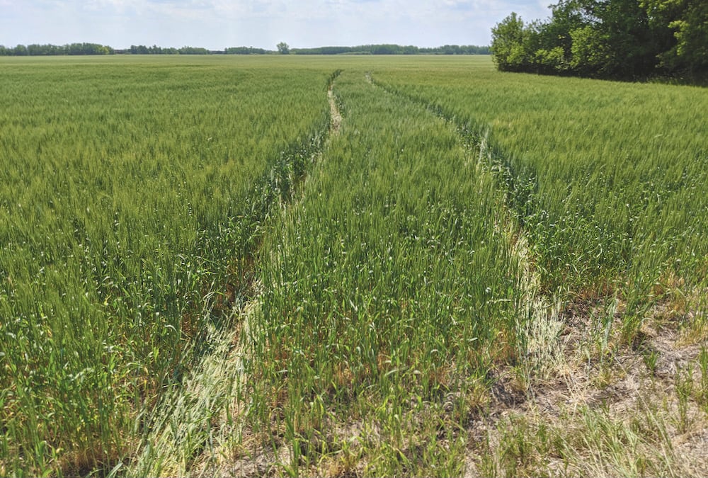 ATVs and other off-road vehicles are using fields as highways and playgrounds, say four St. Clements farmers.