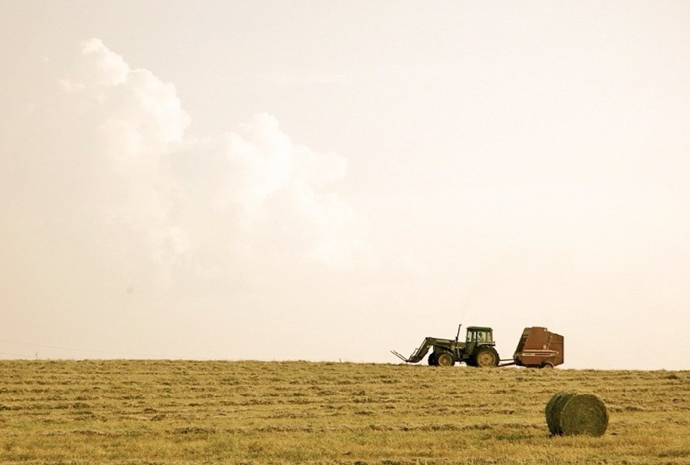 Photo: Jeannette Greaves/File
