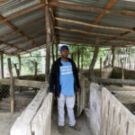 Nelson Aquino observes his pig farm after pigs died of African swine fever, as the government announced the slaughter of tens of thousands of pig after detecting outbreaks of African swine fever in pigs farms across the country, in Palmarito, Monte Cristi, Dominican Republic August 1, 2021. Photo: Reuters/Ricardo Rojas