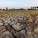 Scientists emphasize that the effects of climate change are already here.  Photo: Getty Images
