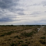 The strawberry field at Grunthal Berries at the beginning of June 2021.