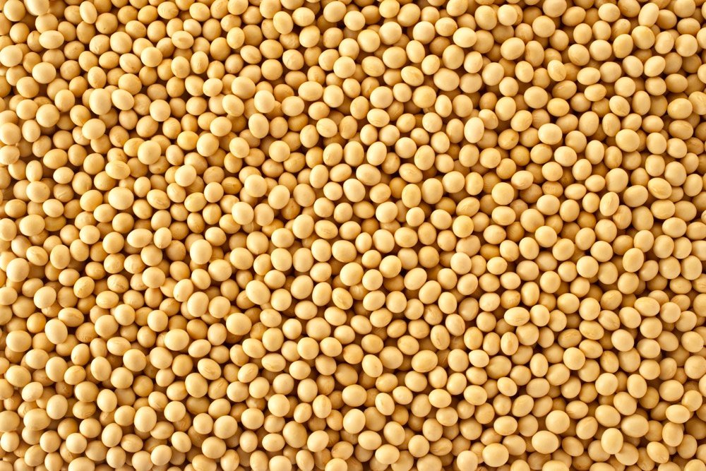 Much attention will be paid to soy estimates after the USDA’s projection went unchanged from June to July.  Photo: Thinkstock
