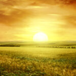 Staying cool and safe in the summer heat